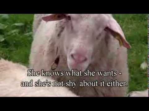 Hot sexy nude adult videos free watch